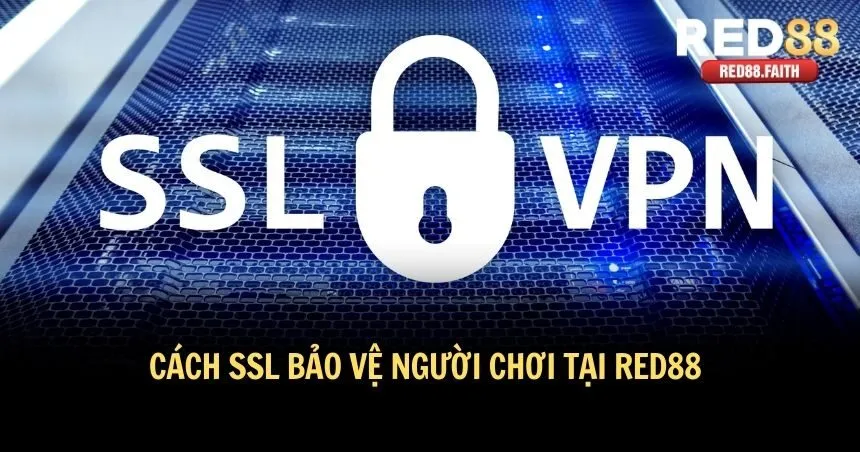 RED88 sử dụng SSL để bảo vệ người chơi