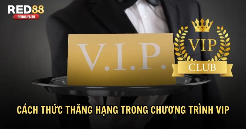 Cách để thăng hạng hội viên VIP